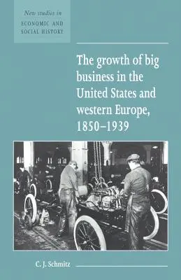 Creșterea marilor afaceri în Statele Unite și Europa de Vest, 1850-1939 - The Growth of Big Business in the United States and Western Europe, 1850-1939
