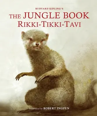 Cartea Junglei: Rikki-Tikki-Tavi: Un clasic ilustrat de Robert Ingpen - The Jungle Book: Rikki-Tikki-Tavi: A Robert Ingpen Illustrated Classic