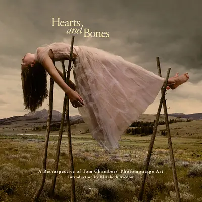 Hearts and Bones: O retrospectivă a artei fotomontajului lui Tom Chambers - Hearts and Bones: A Retrospective of Tom Chambers' Photomontage Art