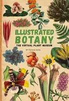 Botanică ilustrată - Muzeul virtual al plantelor - Illustrated Botany - The Virtual Plant Museum