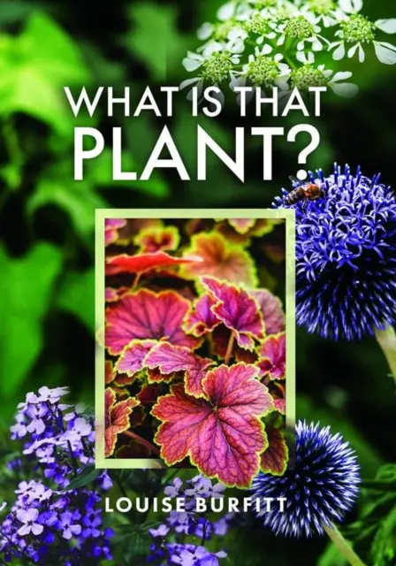 Ce este acea plantă? - What Is That Plant?