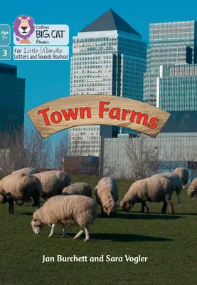 Fermele orașului - Faza 3 Set 1 - Town Farms - Phase 3 Set 1