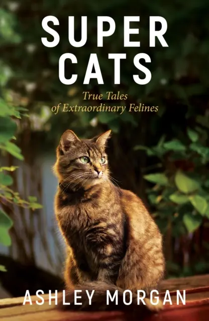 Super pisici: Povești adevărate despre feline extraodinare - Super Cats: True Tales of Extraodinary Felines