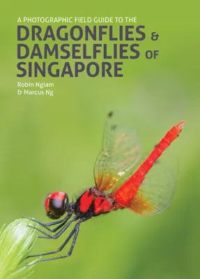 Un ghid fotografic de teren pentru libelulele și damselfly-urile din Singapore - A Photographic Field Guide to the Dragonflies & Damselflies of Singapore