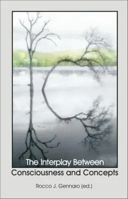 Interacțiunea dintre conștiință și concepte - Interplay Between Consciousness and Concepts