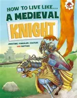 Cavaler medieval - Medieval Knight