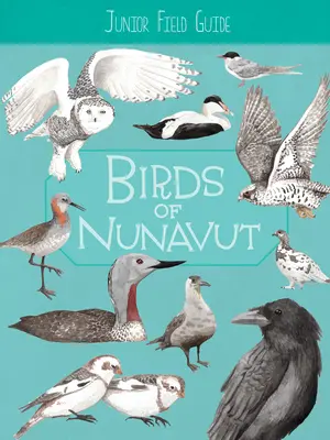 Junior Field Guide: Păsările din Nunavut: Ediția în limba engleză - Junior Field Guide: Birds of Nunavut: English Edition