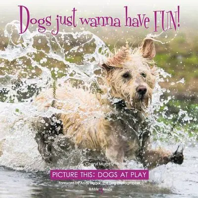Câinii vor doar să se distreze! - Imaginați-vă asta: Câini la joacă - Dogs just wanna have FUN! - Picture this: Dogs at Play