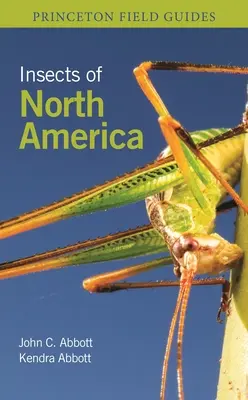 Insecte din America de Nord - Insects of North America