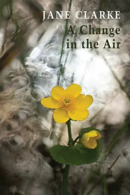 O schimbare în aer - A Change in the Air