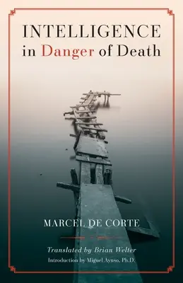 Inteligența în pericol de moarte (ediție în limba engleză) - Intelligence in Danger of Death (English edition)