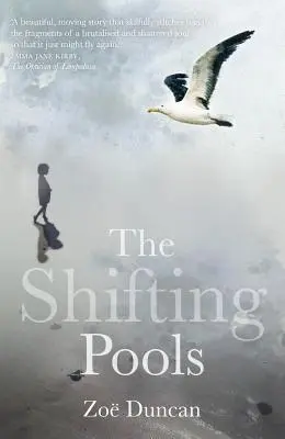 Bazinele schimbătoare - The Shifting Pools