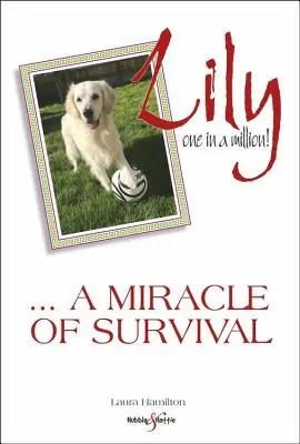 Lily: Una la un milion: ... un miracol al supraviețuirii - Lily: One in a Million: ... a Miracle of Survival