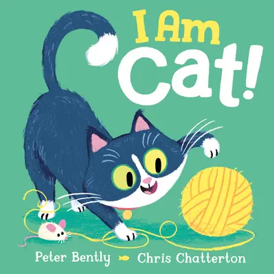 Eu sunt pisica! - I Am Cat!