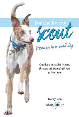 Din dragoste pentru Scout: Promisiuni pentru un câine mic - For the Love of Scout: Promises to a Small Dog