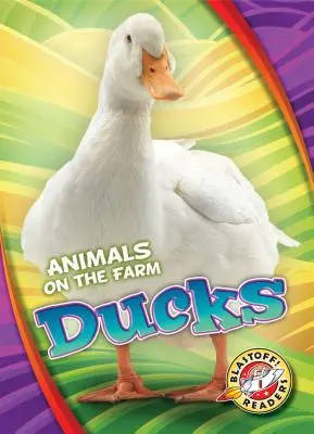 Rațe - Ducks
