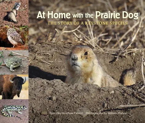Acasă cu câinele de preerie: Povestea unei specii cheie - At Home with the Prairie Dog: The Story of a Keystone Species