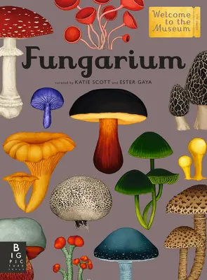 Fungarium: Bine ați venit la muzeu - Fungarium: Welcome to the Museum