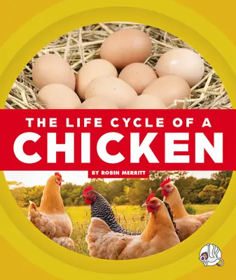 Ciclul de viață al unui pui - The Life Cycle of a Chicken