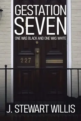 Gestația șapte: Unul era negru și unul era alb - Gestation Seven: One Was Black and One Was White