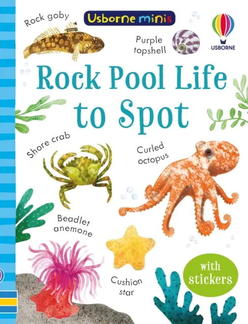 Vieți de reperat în bazinul cu pietre - Rock Pool Life to Spot