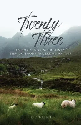 Douăzeci și trei: Depășirea incertitudinii prin promisiunile neprețuite ale lui Dumnezeu - Twenty-Three: Overcoming Uncertainty Through God's Priceless Promises