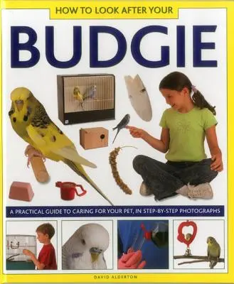 Cum să ai grijă de perușul tău - How to Look After Your Budgie