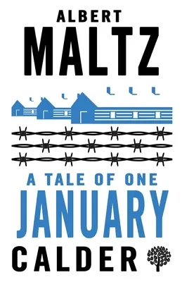 Povestea unui ianuarie - A Tale of One January
