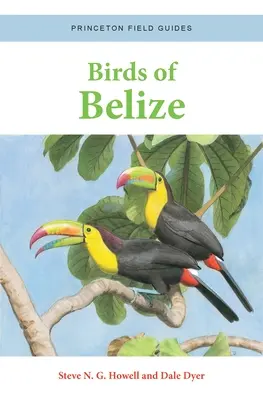 Păsările din Belize - Birds of Belize