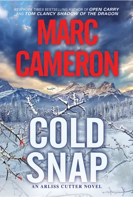 Cold Snap: Un roman de suspans plin de acțiune - Cold Snap: An Action Packed Novel of Suspense