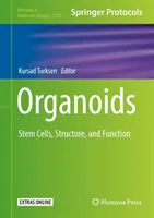 Organoizi: Celule stem, structură și funcție - Organoids: Stem Cells, Structure, and Function