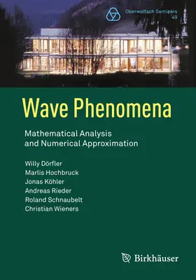 Fenomene ondulatorii: Analiză matematică și aproximare numerică - Wave Phenomena: Mathematical Analysis and Numerical Approximation