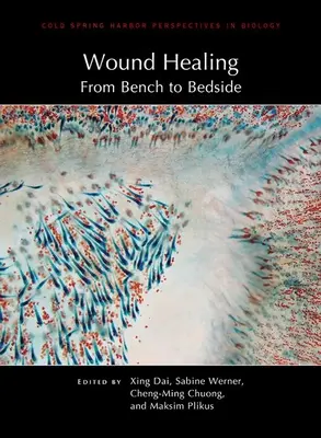 Vindecarea rănilor: De la bancă la pat - Wound Healing: From Bench to Bedside