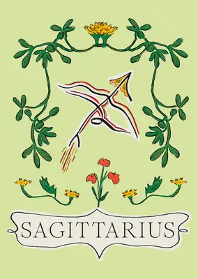 Săgetător - Sagittarius