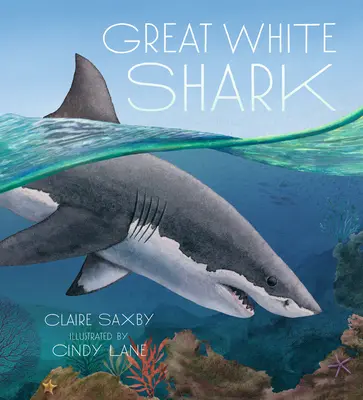 Marele rechin alb - Great White Shark