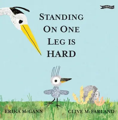 E greu să stai într-un picior - Standing on One Leg Is Hard