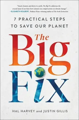 The Big Fix: Șapte pași practici pentru a ne salva planeta - The Big Fix: Seven Practical Steps to Save Our Planet