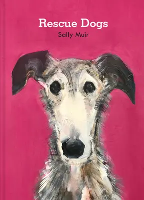 Câini de salvare - Rescue Dogs
