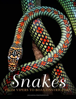 Șerpi: De la vipere la boa constrictori - Snakes: From Vipers to Boa Constrictors