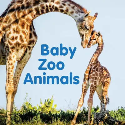 Pui de animale de la grădina zoologică - Baby Zoo Animals