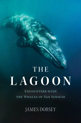The Lagoon: Întâlniri cu balenele din San Ignacio - The Lagoon: Encounters with the Whales of San Ignacio
