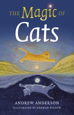 Magia pisicilor - The Magic of Cats