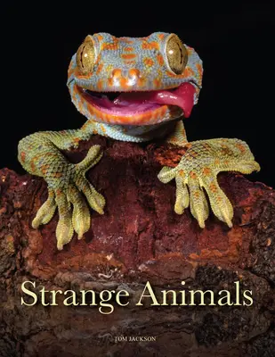 Animale ciudate - Strange Animals