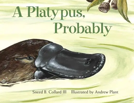 Un ornitorinc, probabil - A Platypus, Probably