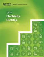 Profiluri de energie electrică 2019 - 2019 electricity profiles