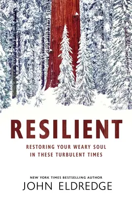 Resilient: Restaurarea sufletului tău obosit în aceste vremuri tulburi - Resilient: Restoring Your Weary Soul in These Turbulent Times
