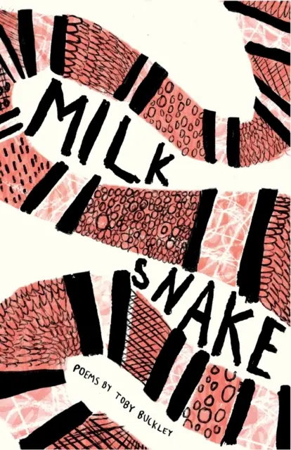 Șarpele de lapte - Milk Snake