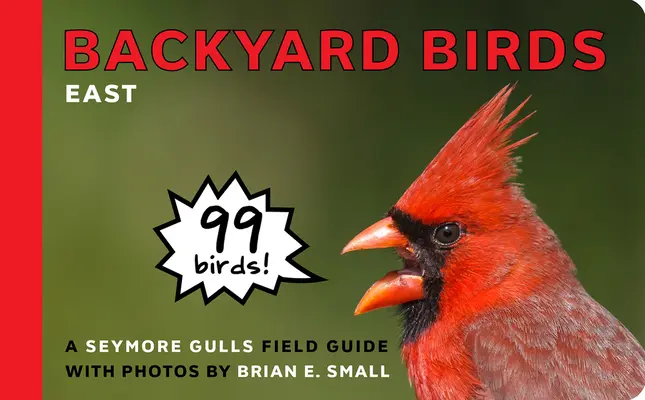 Păsări de curte: Est - Backyard Birds: East
