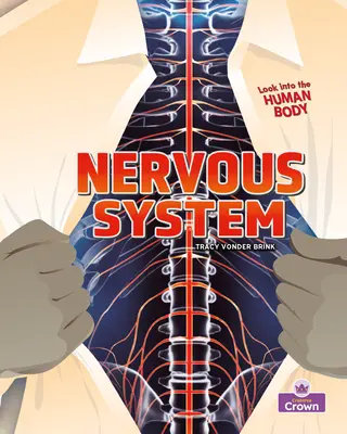 Sistemul nervos - Nervous System