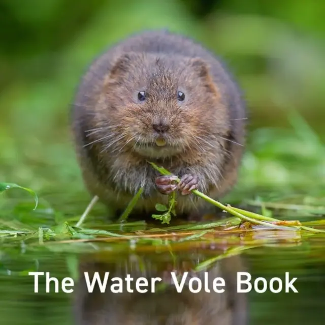 Cartea Voleului de apă - Water Vole Book